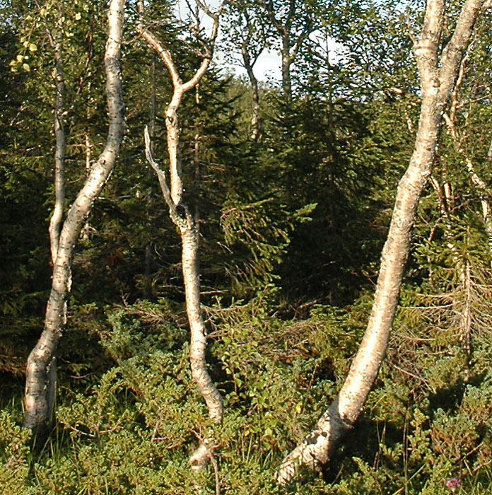 DSC_0035