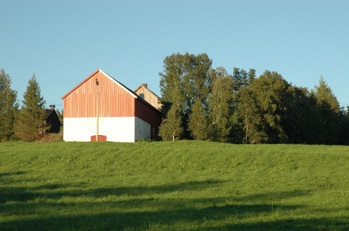 DSC_0040