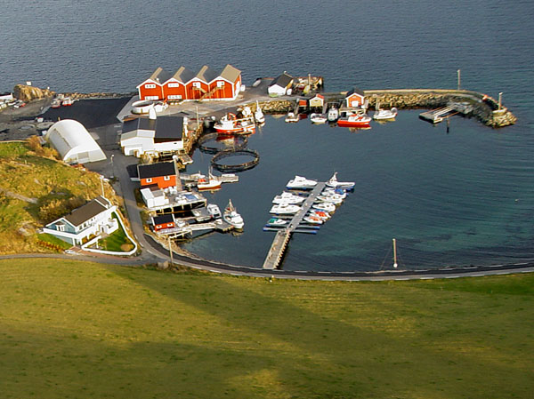 DSC00397havna2