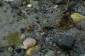 20070512-DSC_0033