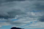20070512-DSC_0051