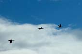 20070512-DSC_0053
