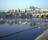 praha04